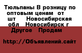Тюльпаны В розницу по оптовым ценам (от 100 шт.) - Новосибирская обл., Новосибирск г. Другое » Продам   